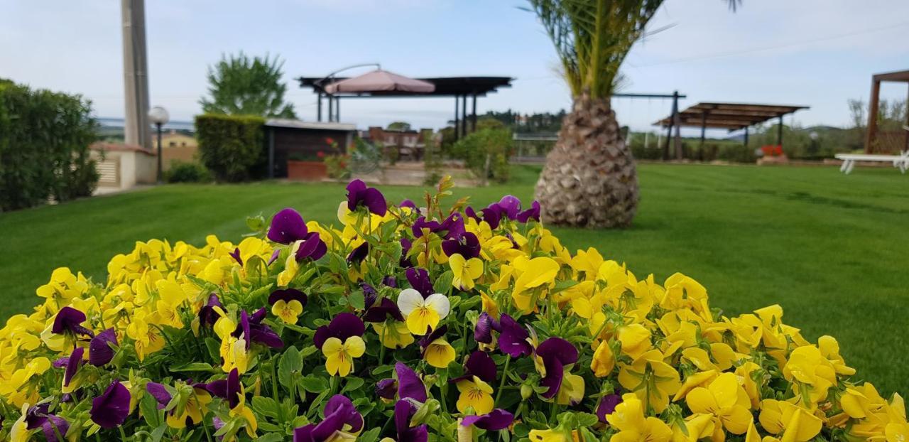 Agriturismo Diaccia Botrona カスティリオーネ・デッラ・ペスカーイア エクステリア 写真